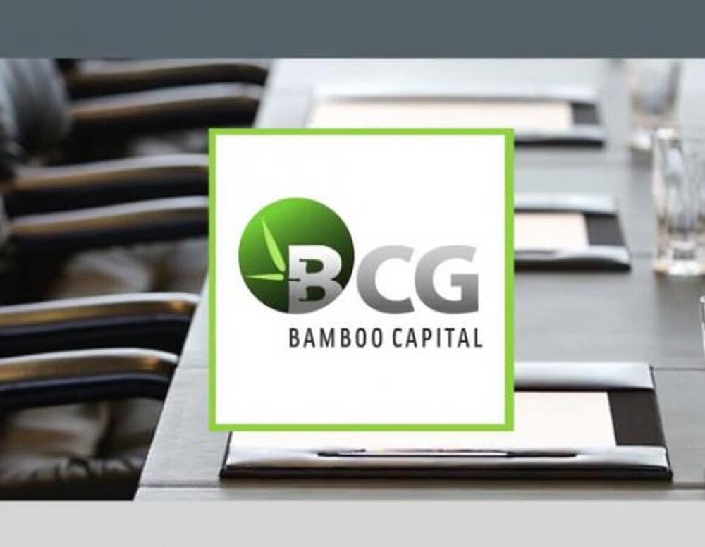 NDT - anh bamboo capital