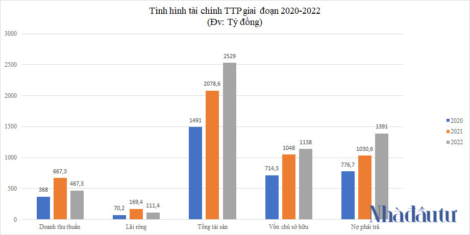 NDT - TTP kinh doanh the nao 2022