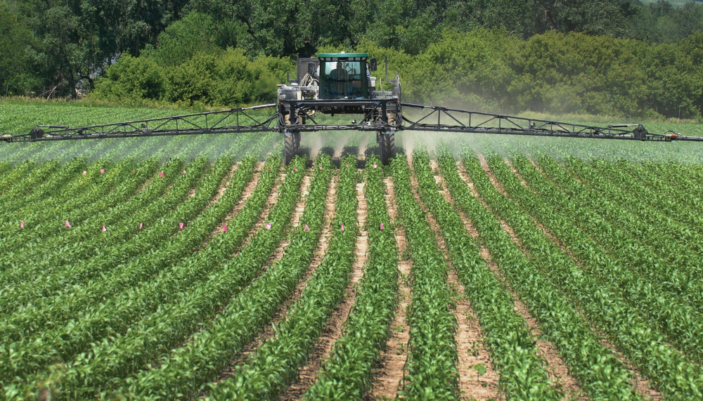 spraying-corn