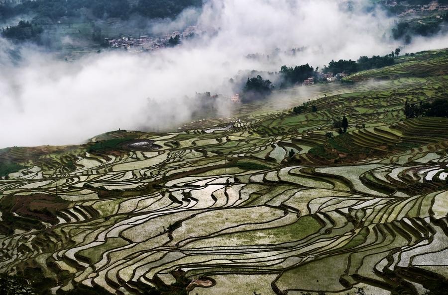 Ruong bac thang Ha Nhi