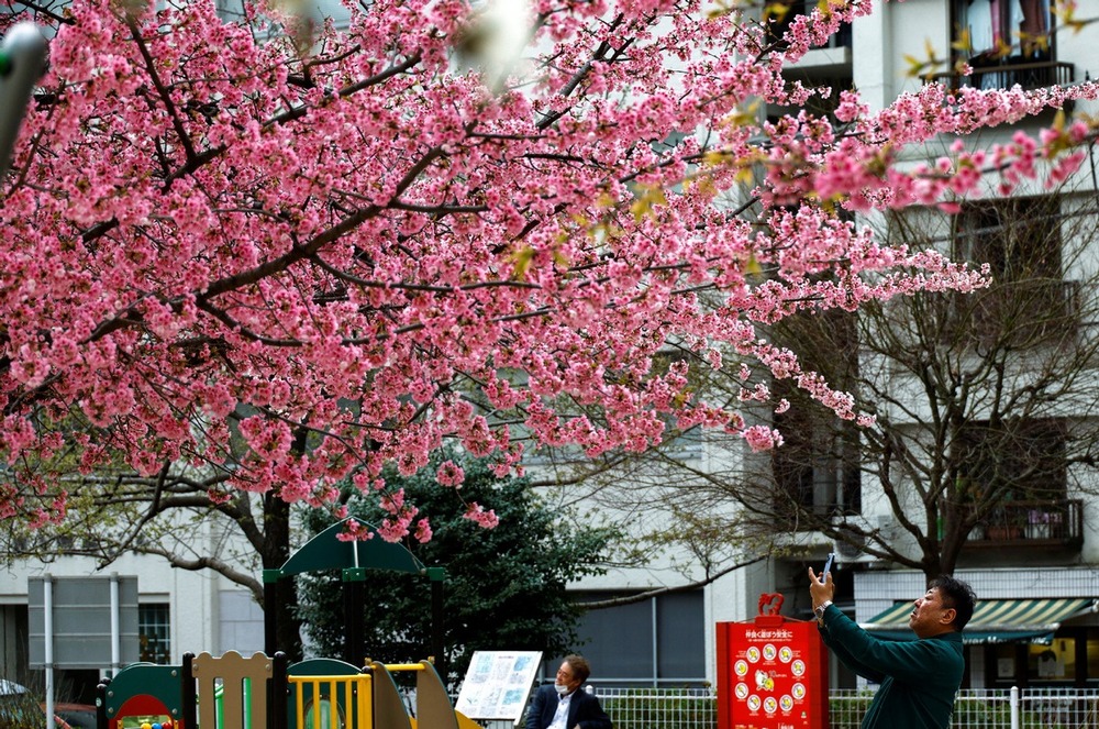 Tokyo