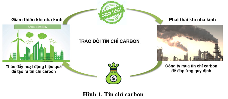NDT - tin chi carbon