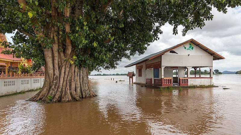 Flooded_building_and_tree