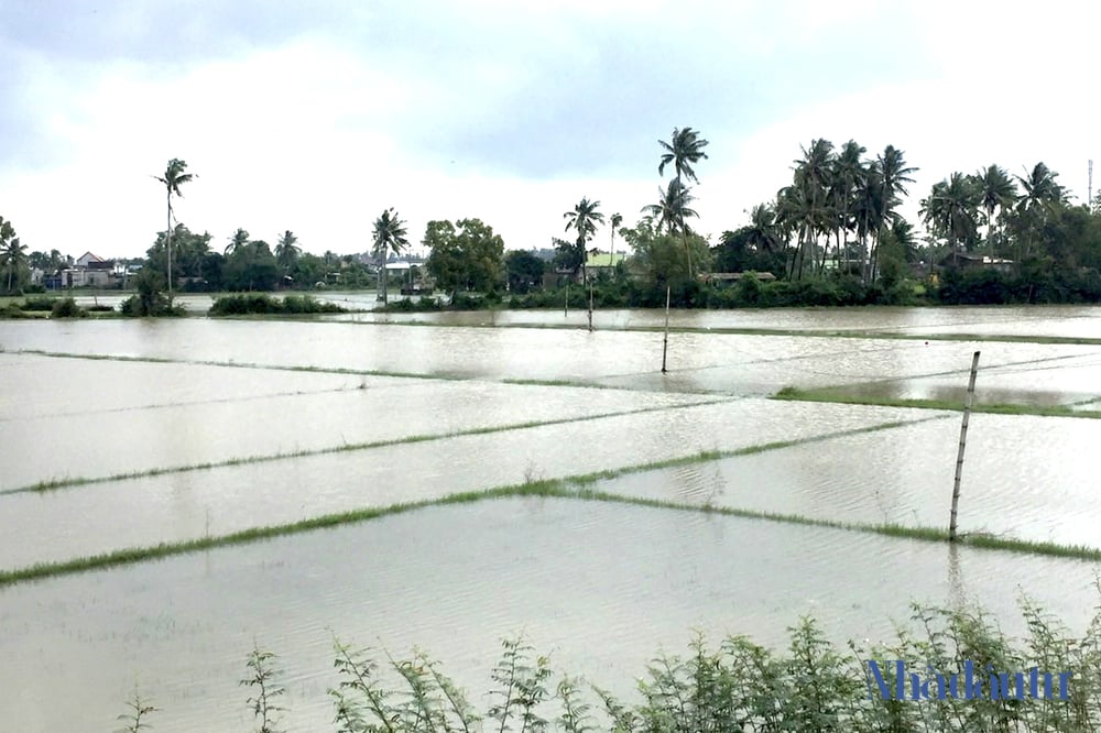 bac-sa-huynh-1