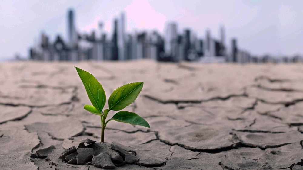 gettyimages-Climate Change