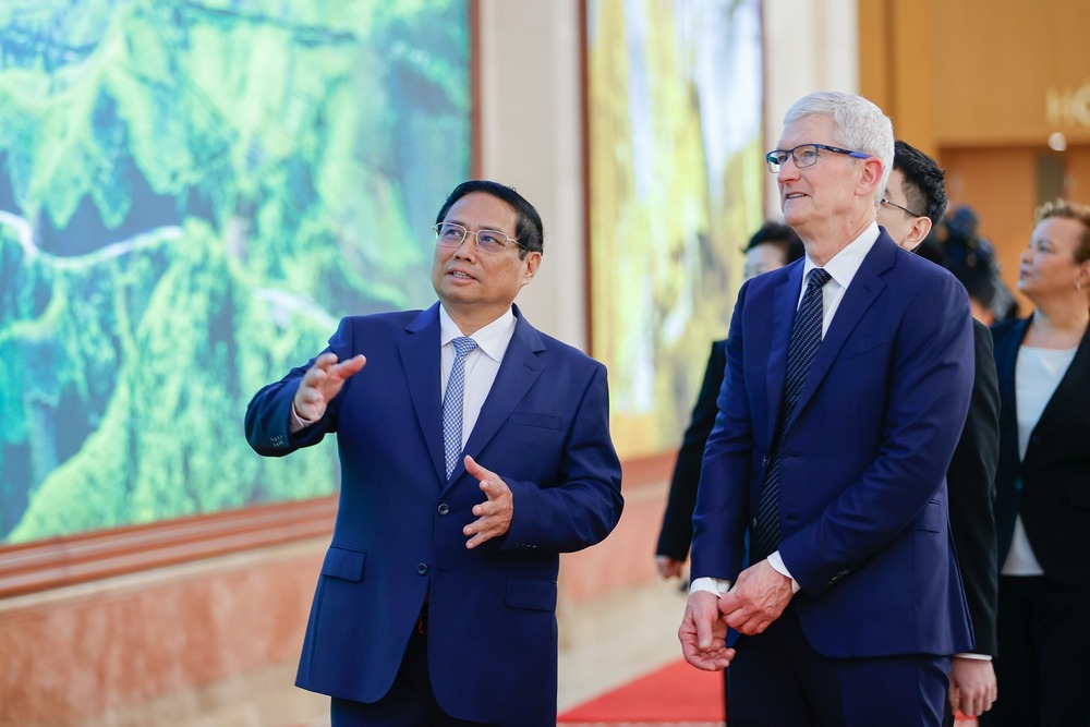 Tim Cook VN