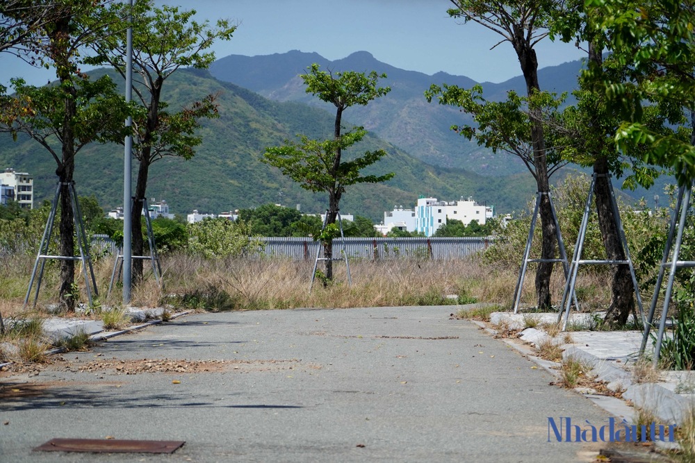 san-bay-nha-trang (1)