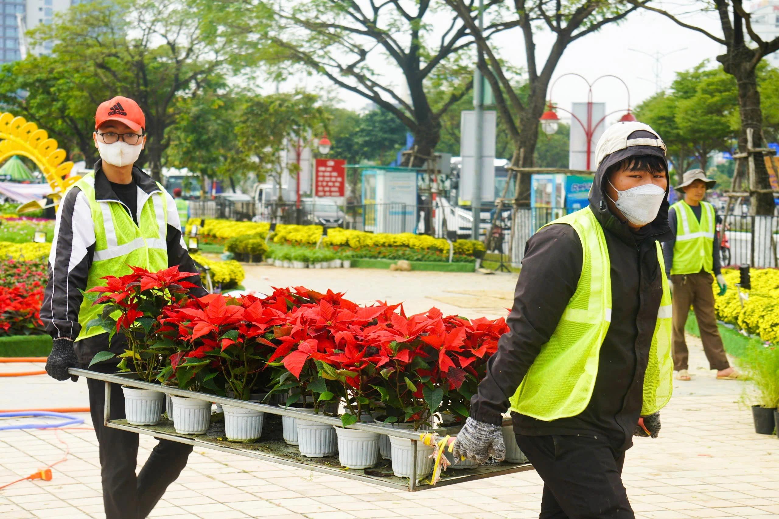 Linh vật rắn hổ mang Ất Tỵ uy nghi xuất hiện ở thành phố đáng sống- Ảnh 10.