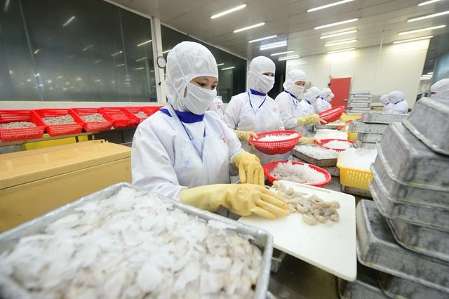 Nghịch lý thủy sản xuất khẩu khó bán nội địa- Ảnh 2.