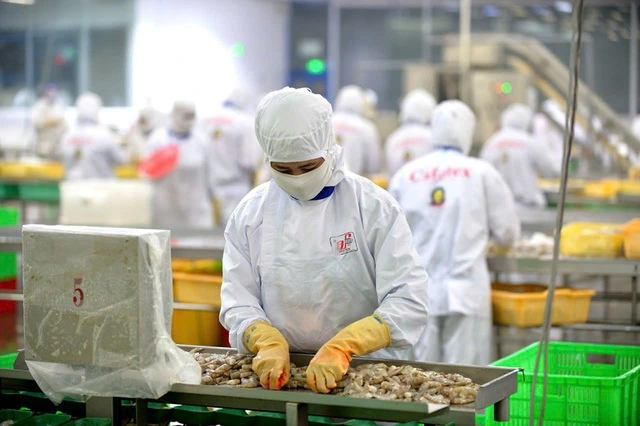 Nghịch lý thủy sản xuất khẩu khó bán nội địa- Ảnh 3.