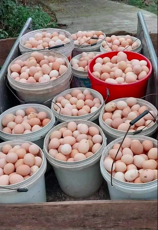 Xuất khẩu sang Campuchia bất ngờ tăng mạnh- Ảnh 2.