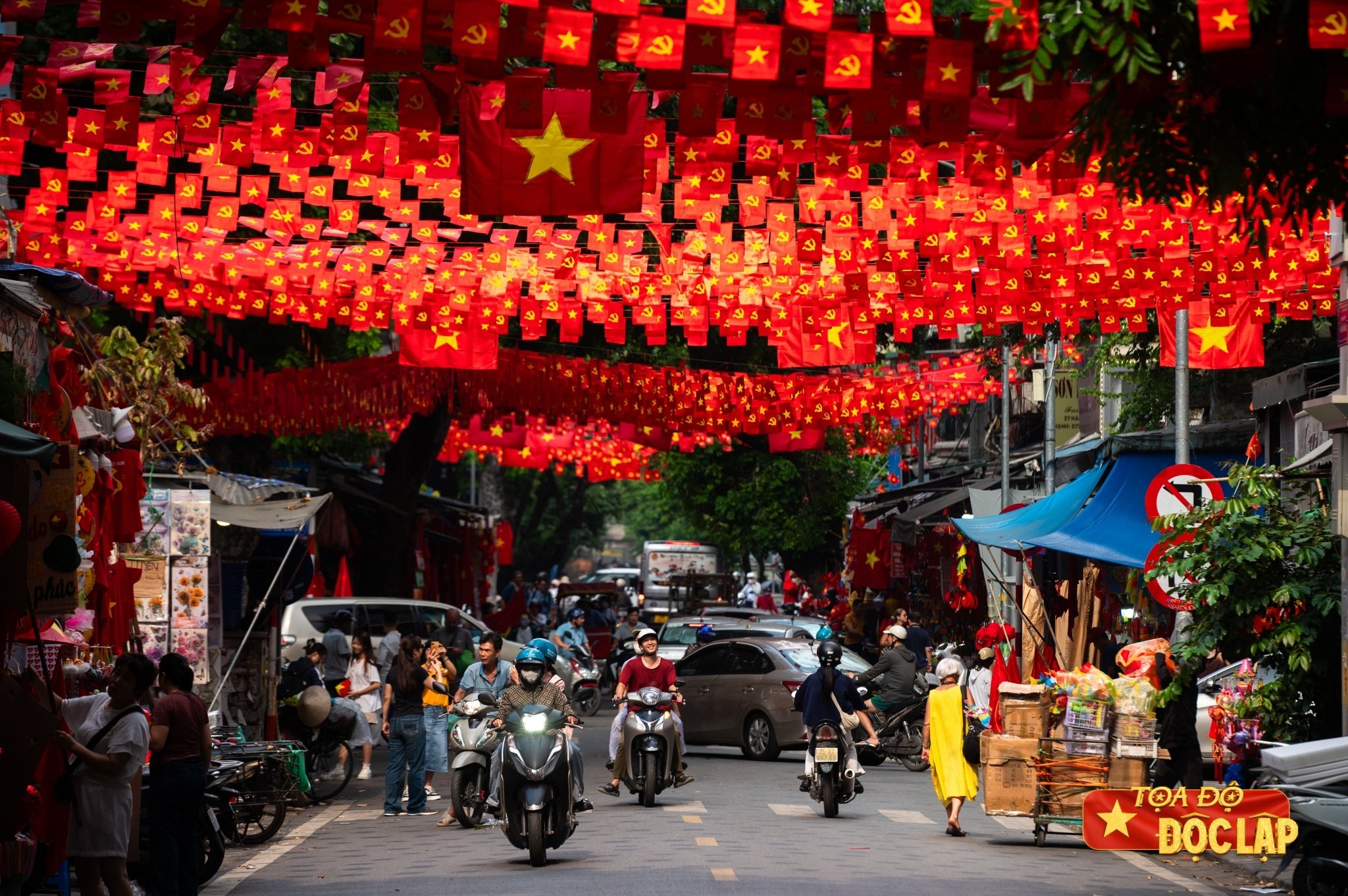 ha noi treo co hoa anh 1