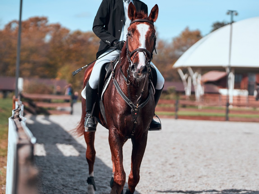both-equestrians-took-up-the-sport-at-a-young-age-gates-first-took-the-reins-when-she-was-six-while-noelle-floyd-style-reported-jobs-has-loved-riding-horses-since-she-was-a-small-child-growing-up-in-palo-alto-cali