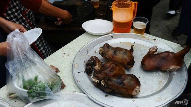 dog-meat-is-traditionally-eaten-with-rice-wine-or-beer-in-hanoi-and-can-be-found-across-the-city-1536678556461-2