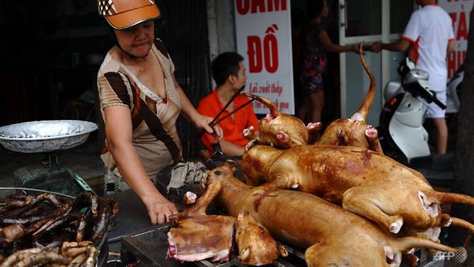 Thịt chó trở thành tâm điểm của báo nước ngoài khi được cửa hàng ở Việt Nam bán đến khách hàng quốc tế. Đây là cơ hội để bạn cảm nhận và hiểu thêm về món ăn đặc biệt của Việt Nam, cũng như sự khác biệt văn hóa ẩm thực của các quốc gia. Hãy cùng ngắm bức ảnh đầy thú vị và hiểu thêm về thịt chó qua câu chuyện của nó.