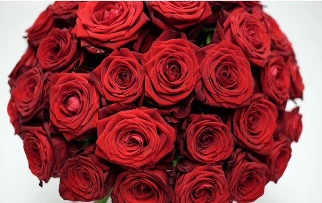 Bó hoa Valentine 999 bông hồng có giá bằng chiếc Audi A3