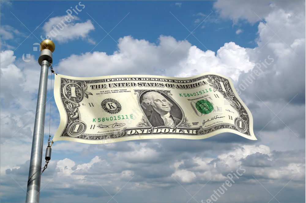 dollar flag cut