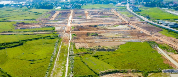 Dự án Khu đô thị mới Thanh Minh phải chuyển hơn 30 ha đất lúa. Ảnh: NPM