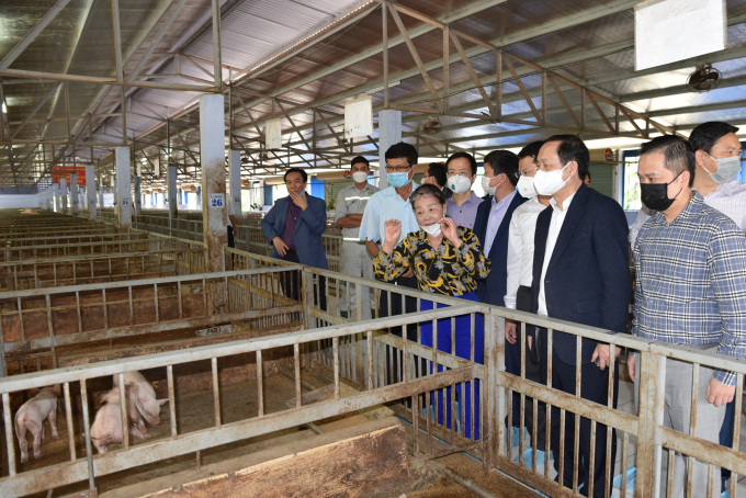 Minister of Science and Technology Huynh Thanh Dat visits the livestock farming model using probiotics of Que Lam Group. Photo: Hoang Anh.