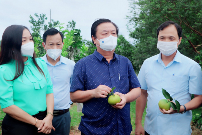 Bộ trưởng Lê Minh Hoan thăm mô hình sản xuất nông nghiệp ở Vũ Quang. Ảnh: Xuân Hoàn.