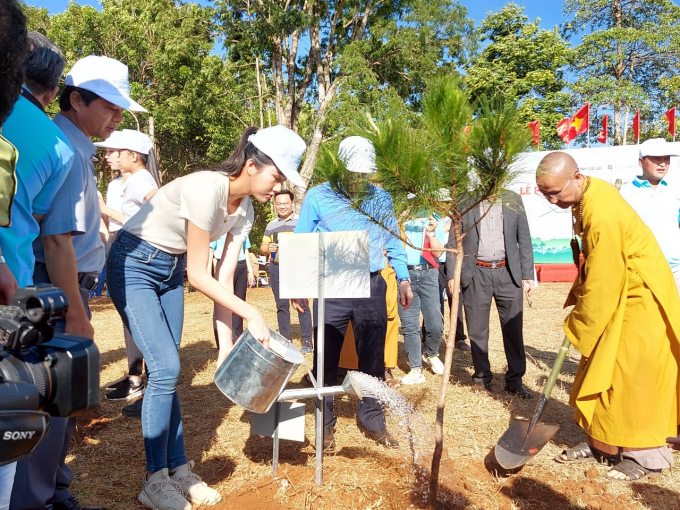 Gia Lai phát động trồng cây với thông điệp ‘Giấc mơ đại ngàn’.