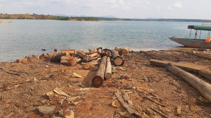 Hiện trường khai thác gỗ trái phép tại đảo thuộc lòng hồ thủy điện Sê San 4.