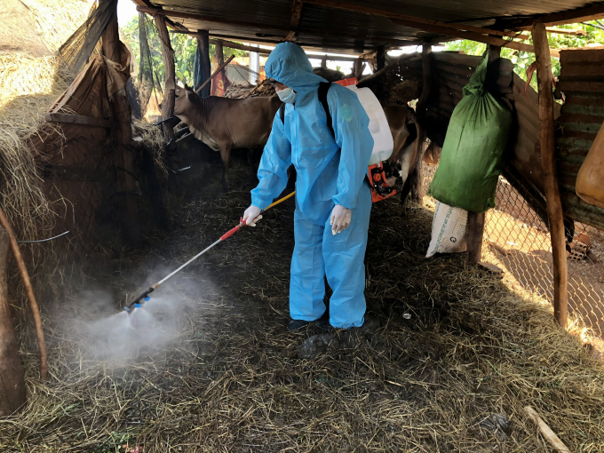 Công tác khử trùng tiêu độc luôn được ngành nông nghiệp Gia Lai quan tâm.