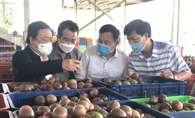 Bộ trưởng Lê Minh Hoan (bên trái) thăm Công ty TNHH Xuất khẩu rau quả Doveco Gia Lai. Ảnh: Tuấn Anh.