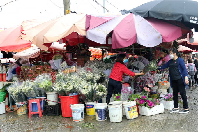 Theo ghi nhận của báo Nông nghiệp Việt Nam, tại chợ hoa Quảng Bá lượng người mua hoa khá vắng vẻ, lác đác có một số người đến.