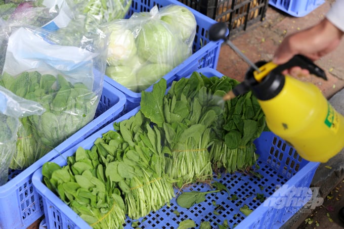 Theo ông Tuấn, thời tiết hanh khô việc nhập hàng luôn cần tưới nước đối với các loại rau ăn lá đảm bảo giữ rau xanh tươi ngon. 