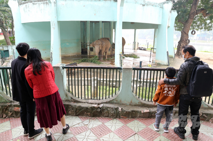 Cặp vợ chồng mới cưới Đặng Vương Bảo Nhi - Mai Xuân (bên trái) Sơn cho biết, 2 vợ chồng là giáo viên lựa chọn Vườn thú HN tham quan để ôn lại kỷ niệm tuổi thơ, tăng thêm tình yêu thiên nhiên và truyền lại tình yêu thiên nhiên cho thế hệ sau...