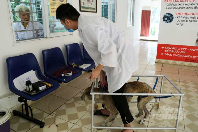 Đối với những trường hợp thú cưng bị liệt, bà Vân cho rằng cần phải chữa bệnh kết hợp Đông y - Tây y mới mang lại hiệu quả tốt nhất. 