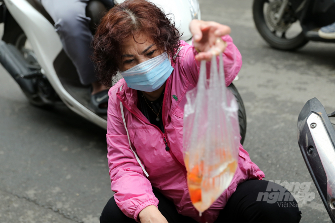 Cô Trang (Hoàn Kiếm- Hà Nội) cho biết: 'Cá chép nên chọn những con mắt sáng, không bị tróc vây, bơi khoẻ vậy mới đạt tiêu chuẩn cúng lễ ông Công ông Táo'.