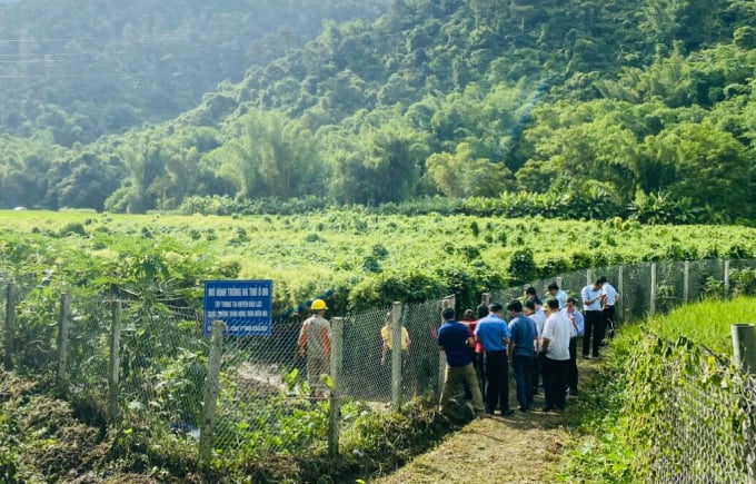 Tham quan mô hình trồng hà thủ ô đỏ tại trị trấn Bảo Lạc, huyện Bảo Lạc.