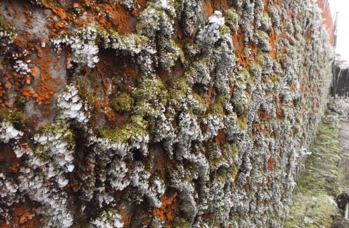 Tuyết đọng trên những mảng tường đá rong rêu.