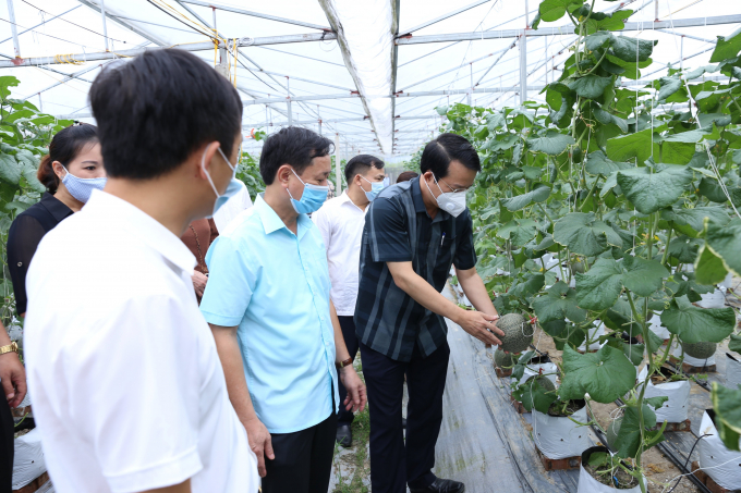 Tỉnh Thái Nguyên luôn quan tâm đến sản xuất nông nghiệp công nghệ cao. Ảnh: Cổng TTĐT Thái Nguyên.