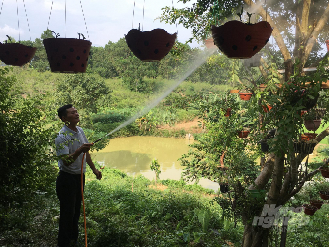 Người dân Mỏ Ba chăm sóc vườn phong lan. Ảnh: Đồng Văn Thưởng.