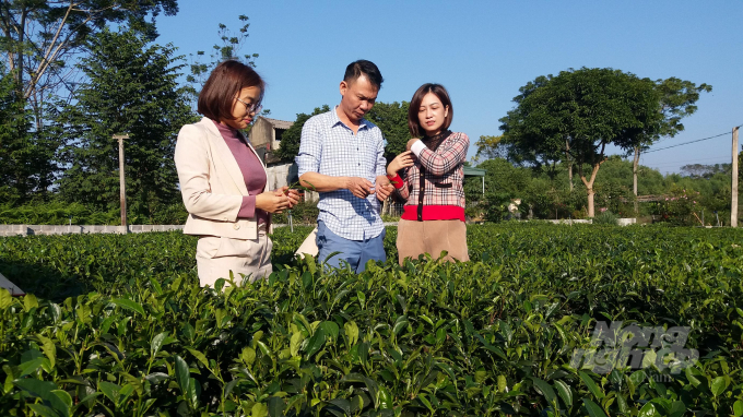 Cơ chế hỗ trợ đã thu hút nhiều doanh nghiệp đầu tư vào lĩnh vực nông nghiệp, nông thôn tại Thái Nguyên. Ảnh:  Đồng Văn Thưởng.