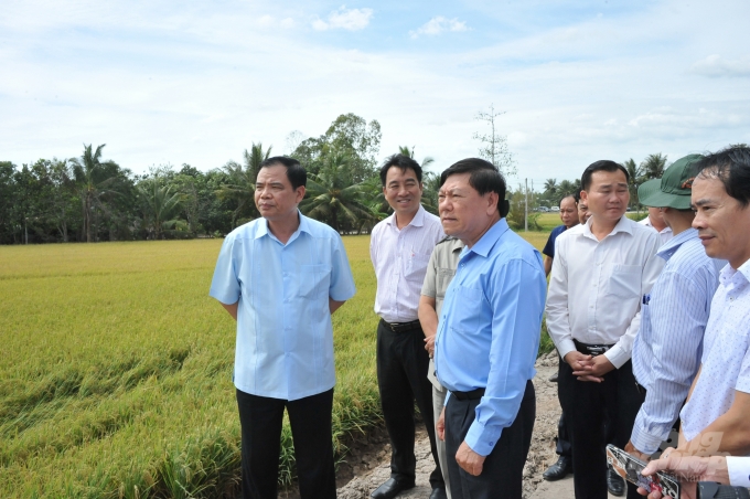 Bộ trưởng kiểm tra hạn mặn tại huyện Vũng Liêm, tỉnh Vĩnh Long.