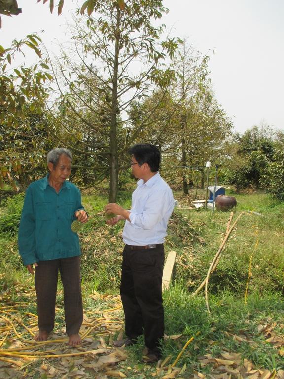 Các nhà vườn lo lắng khi hạn măn năm nay về nhanh có thể gây hại nặng cho vườn cây trái.