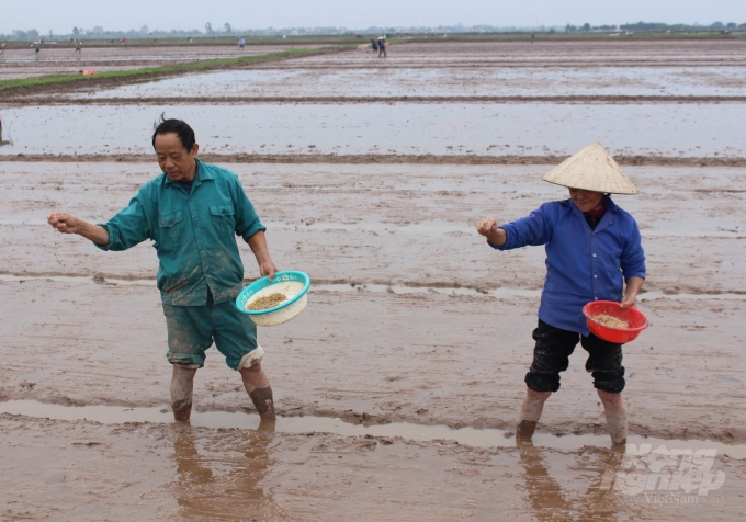 Nông dân Nam Định xuống đồng sau những ngày nghỉ tết.
