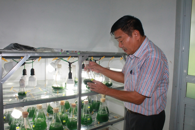 Ông Nguyễn Văn Hùng và hoạt động nuôi trồng tảo xoắn tại huyện Quỳnh Lưu, tỉnh Nghệ An.