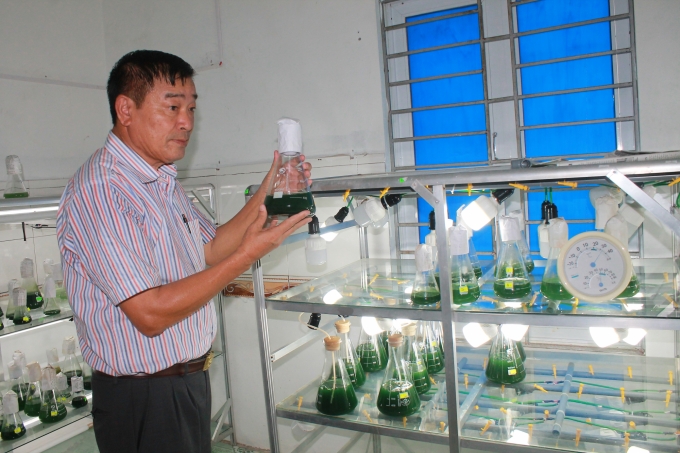 Ông Hùng fgiới thiệu quy trình nuôi tảo xoắn.