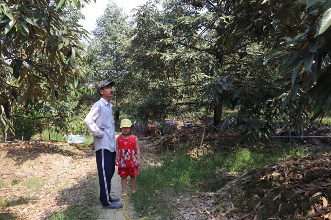 Ông Nguyễn Hoài Vui cho biết đã tốn 20 triệu đồng thuê sà la chở nước tưới cây. Ảnh: Minh Đảm.