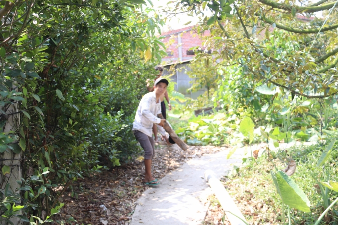 Lắp đặt đường ống dẫn nước từ sà lan vào vườn cây sầu riêng tại xã Ngũ Hiệp. Ảnh: Minh Đảm.