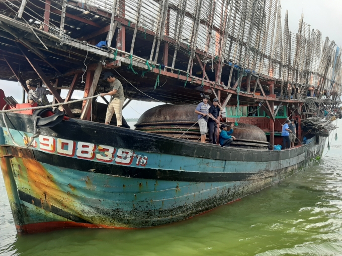 Nghề chụp, câu mực khơi vẫn là nghề truyền thống mang lại thu nhập cao cho ngư dân ở Quảng Nam.