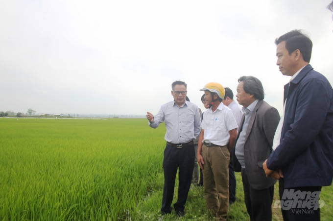 Lãnh đạo Cục trồng trọt kiểm tra mô hình CSA nhân rộng trên cây lúa tại HTX Đức Xá (xã Vĩnh Thủy, huyện Vĩnh Linh). Ảnh: Công Điền.