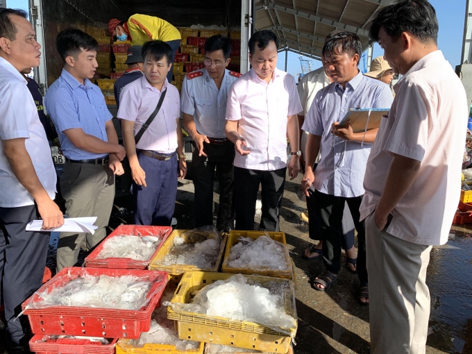 Đoàn công tác Tổng cục Thủy sản kiểm tra hải sản sau khai thác tại cảng cá Trần Đề. ảnh: Hữu Đức