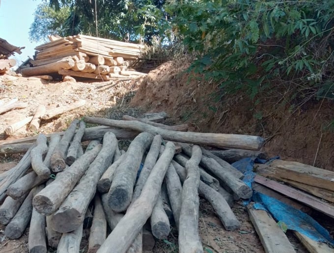 Nguồn gốc số gỗ trục vớt được xác định trôi dạt từ Lào về Việt Nam.
