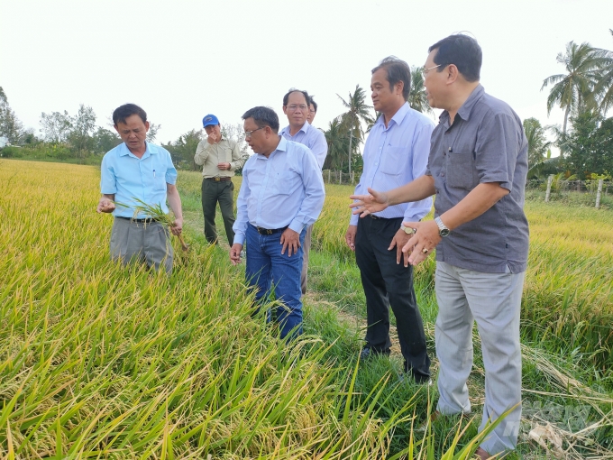 Thứ trưởng Hà Công Tuấn kiểm tra tình hình sản xuất của nông dân tại huyện Trần Văn Thời. Ảnh: Trọng Linh.
